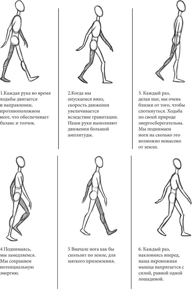 Какие виды походок